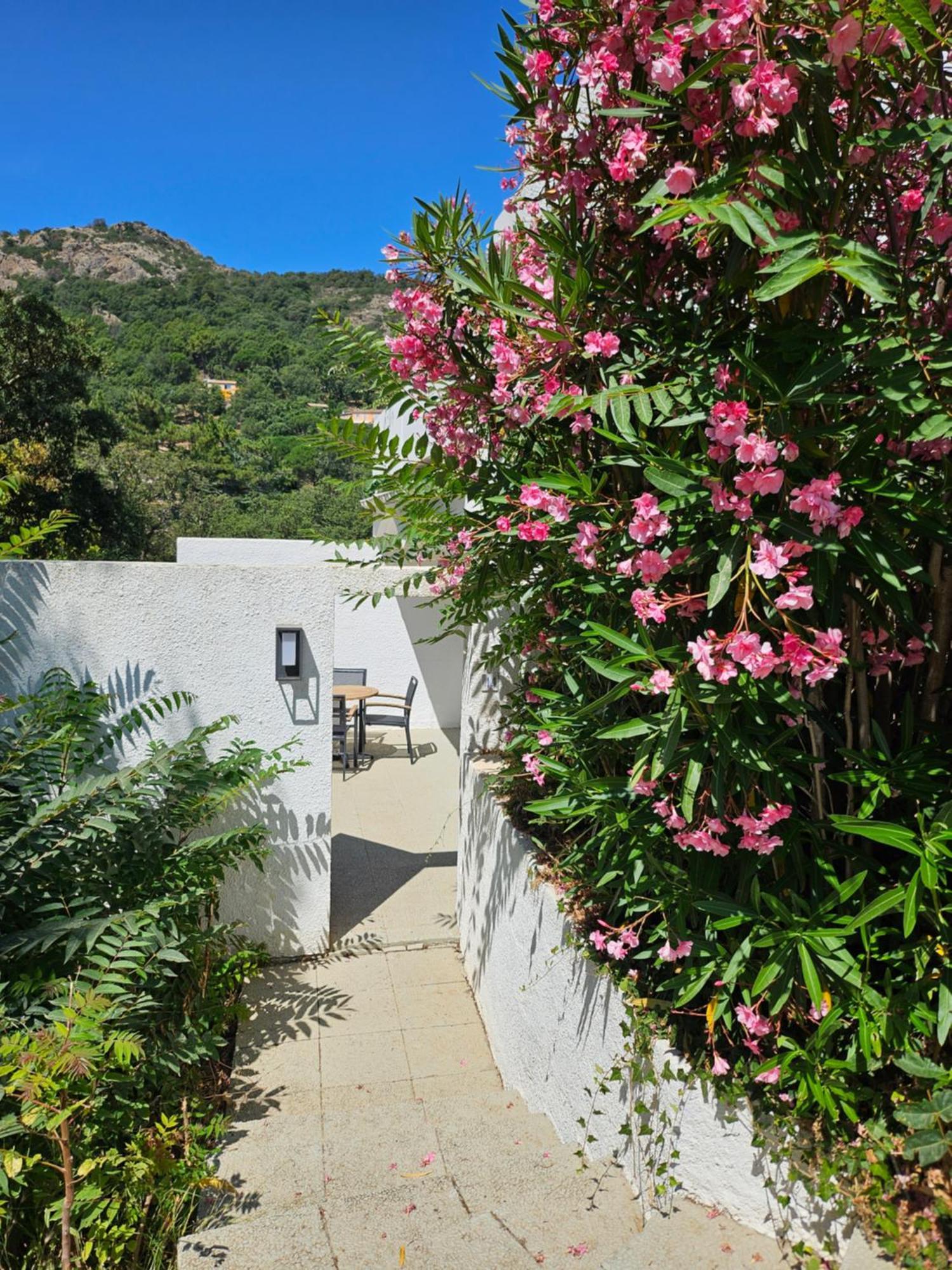 Capsud, La Garde-Freinet Apartment Exterior photo